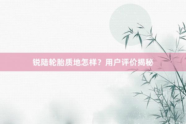 锐陆轮胎质地怎样？用户评价揭秘