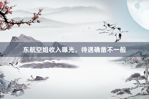 东航空姐收入曝光，待遇确凿不一般